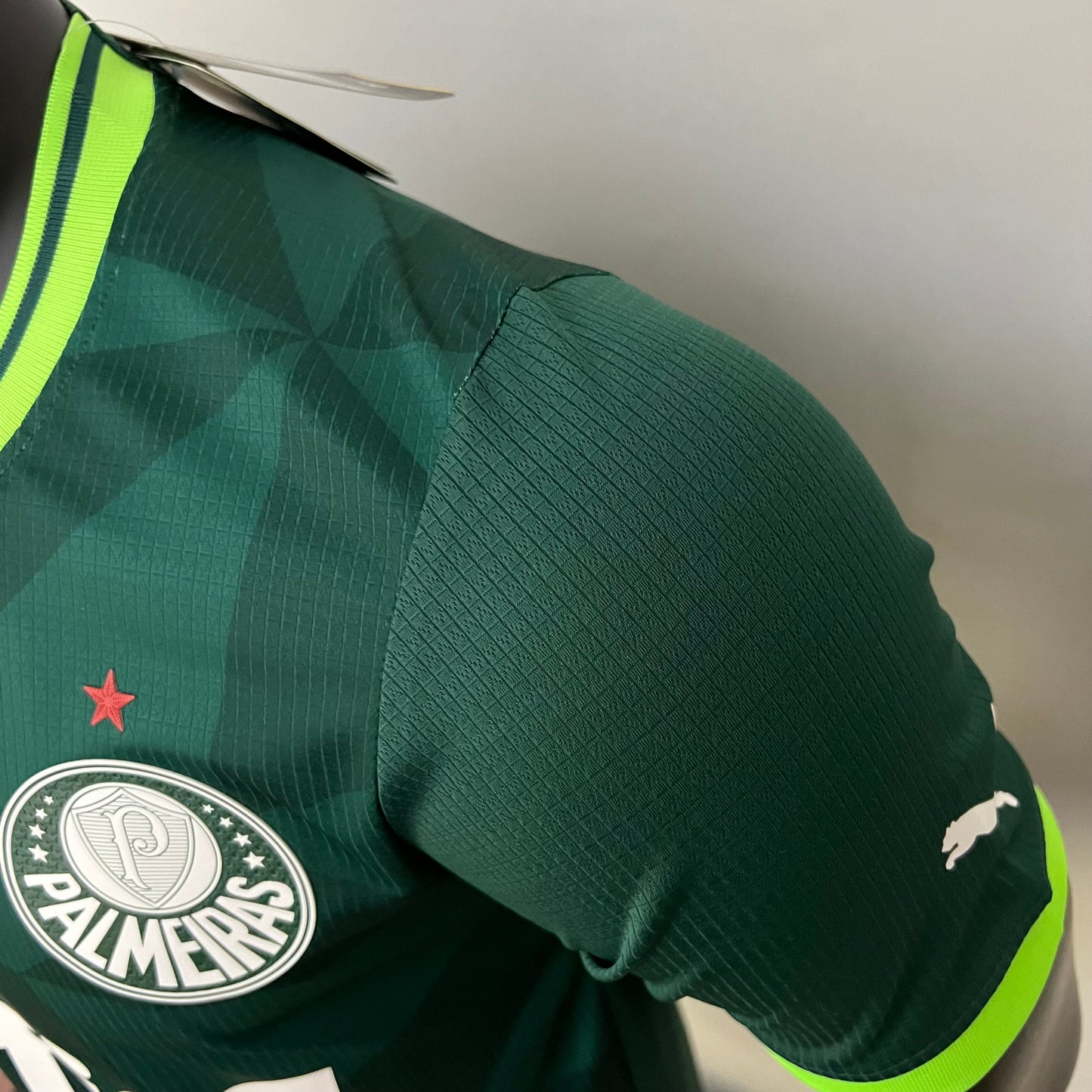 Camiseta de Futbol Palmeiras 2023 - 2024 (Versión Jugador)