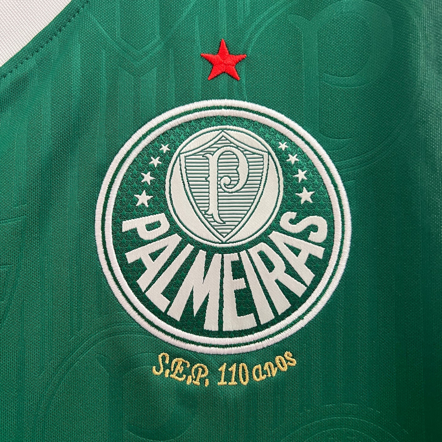 Camiseta de Futbol Palmeiras 2024 - 2025 Vest