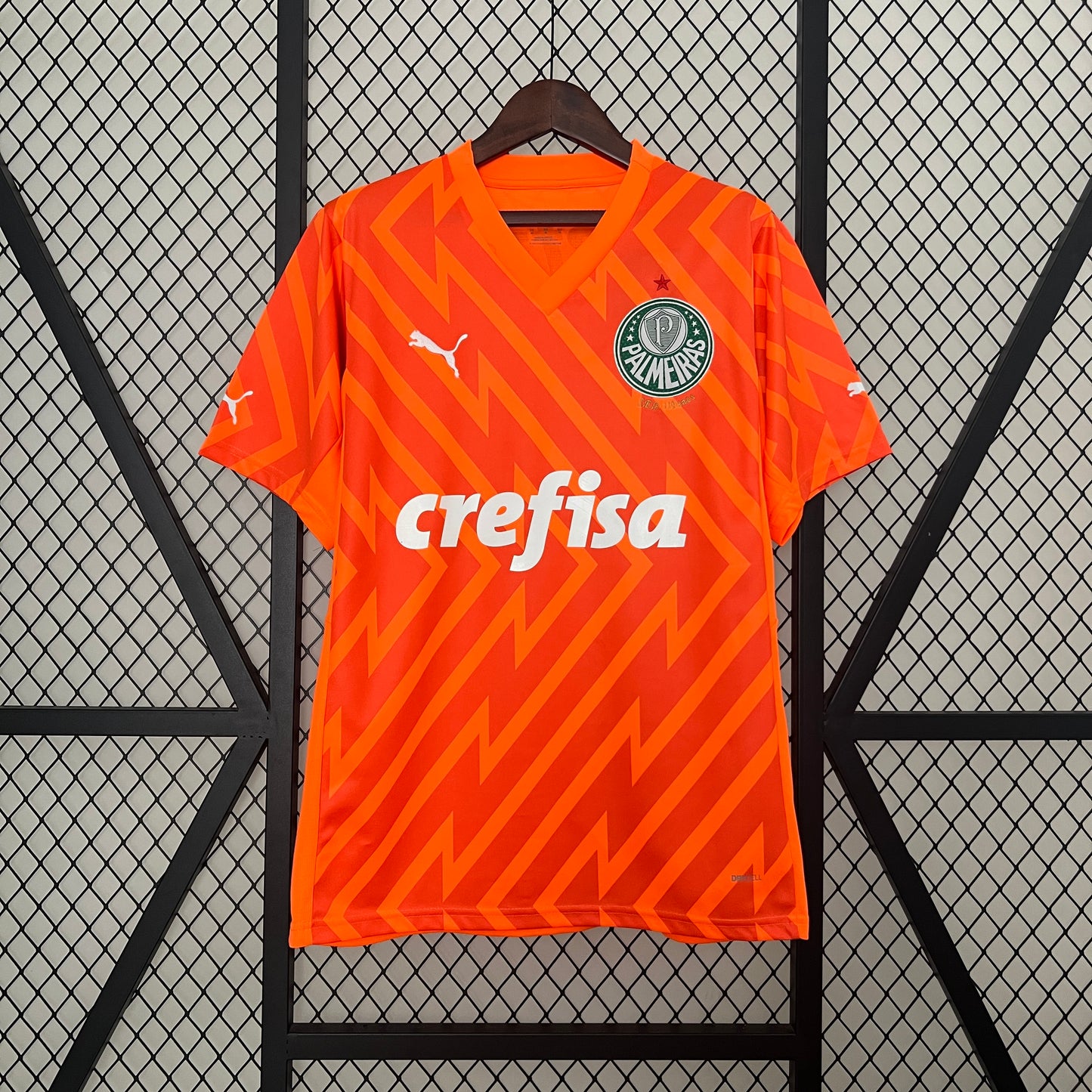 Camiseta de Futbol Palmeiras 2024 - 2025 Arquero