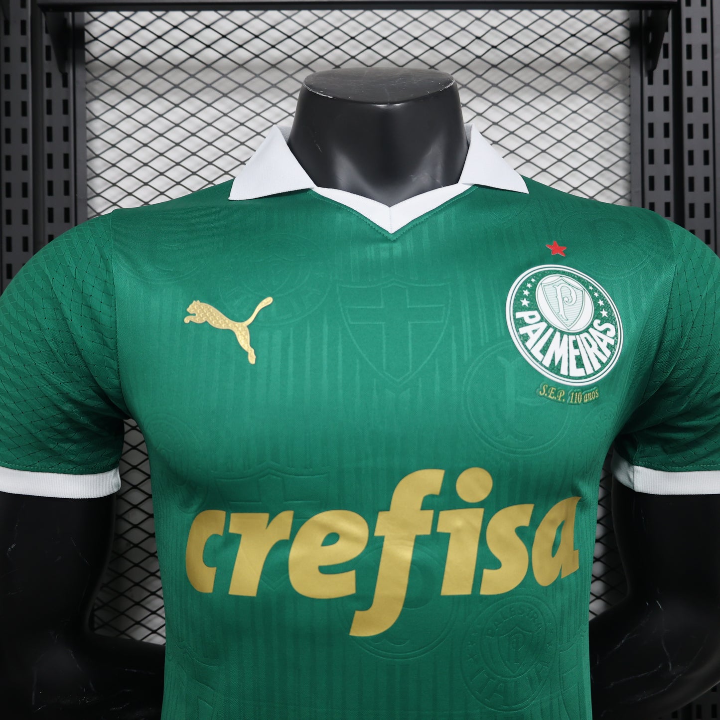 Camiseta de Futbol Palmeiras 2024 - 2025 (Versión Jugador)