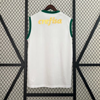 Camiseta de Futbol Palmeiras 2024 - 2025 Vest Visitante