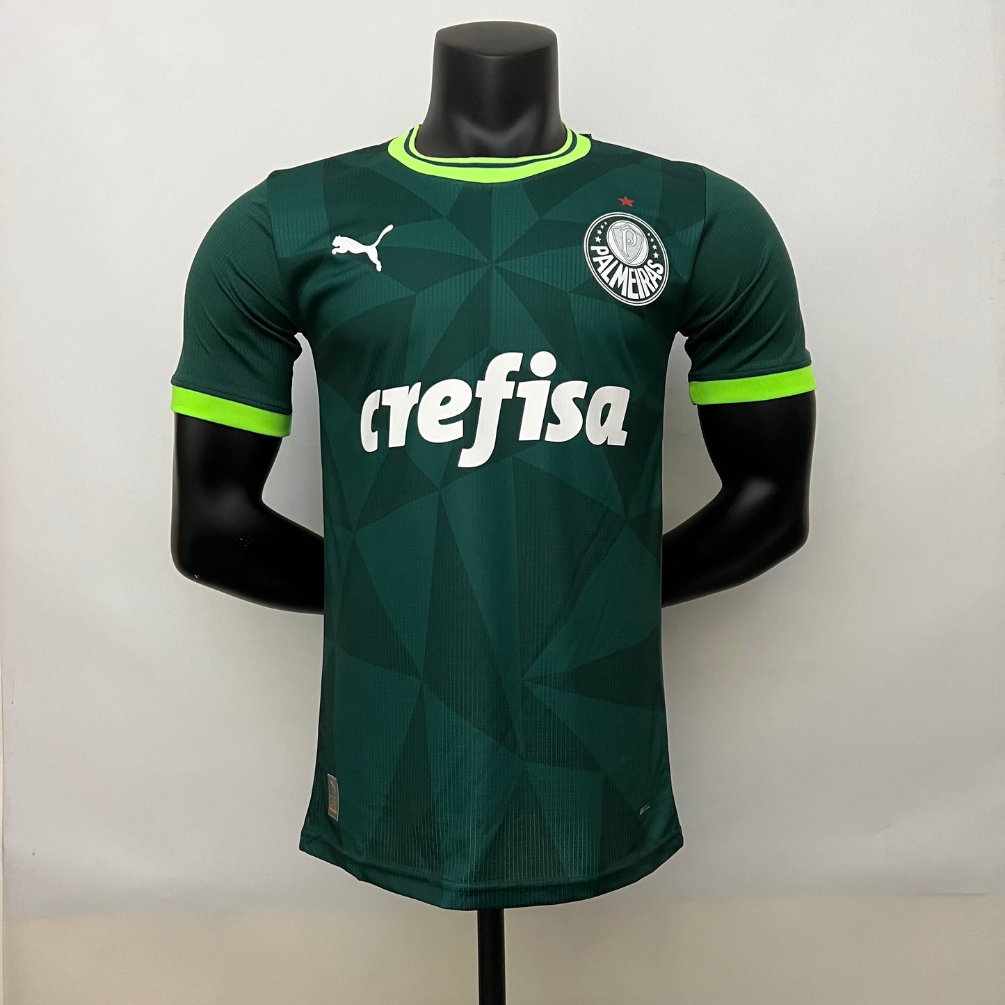 Camiseta de Futbol Palmeiras 2023 - 2024 (Versión Jugador)